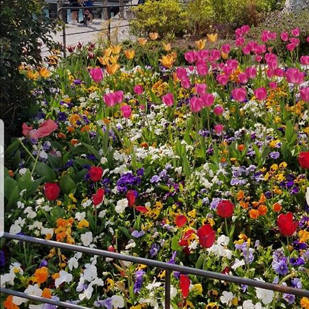 Appartamento Rosy Peschiera del Garda Eksteriør bilde